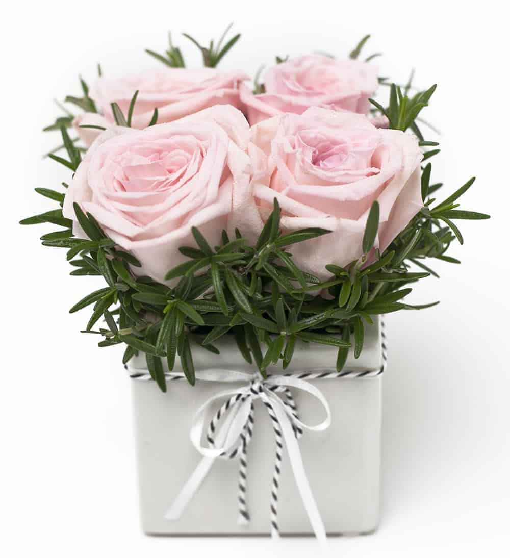 Beautiful-Rose-Cube-Pink.jpg