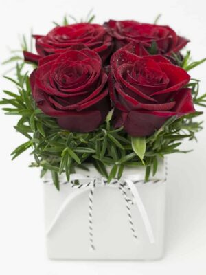 Beautiful Rose Cube Red