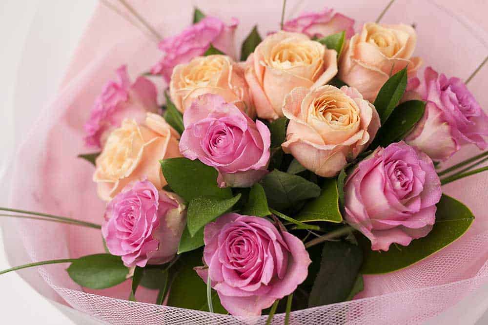 Classic-Dozen-Pink-Roses.jpg