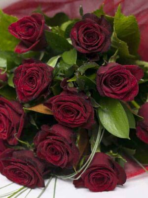 Classic Dozen Red Roses