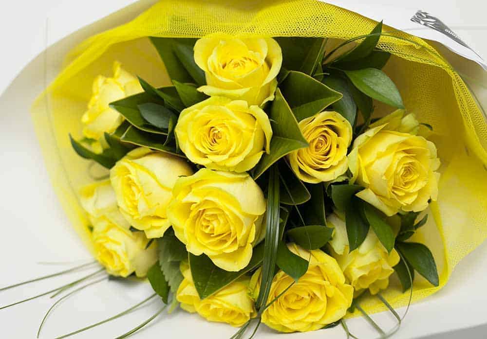 Classic-Dozen-Yellow-Roses.jpg