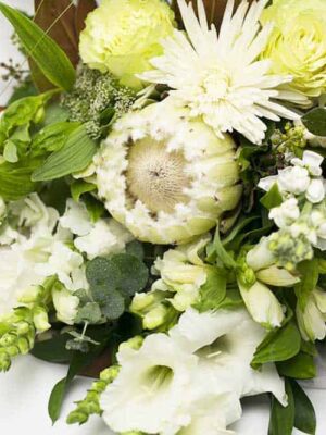 A Long Stemmed Bouquet - White